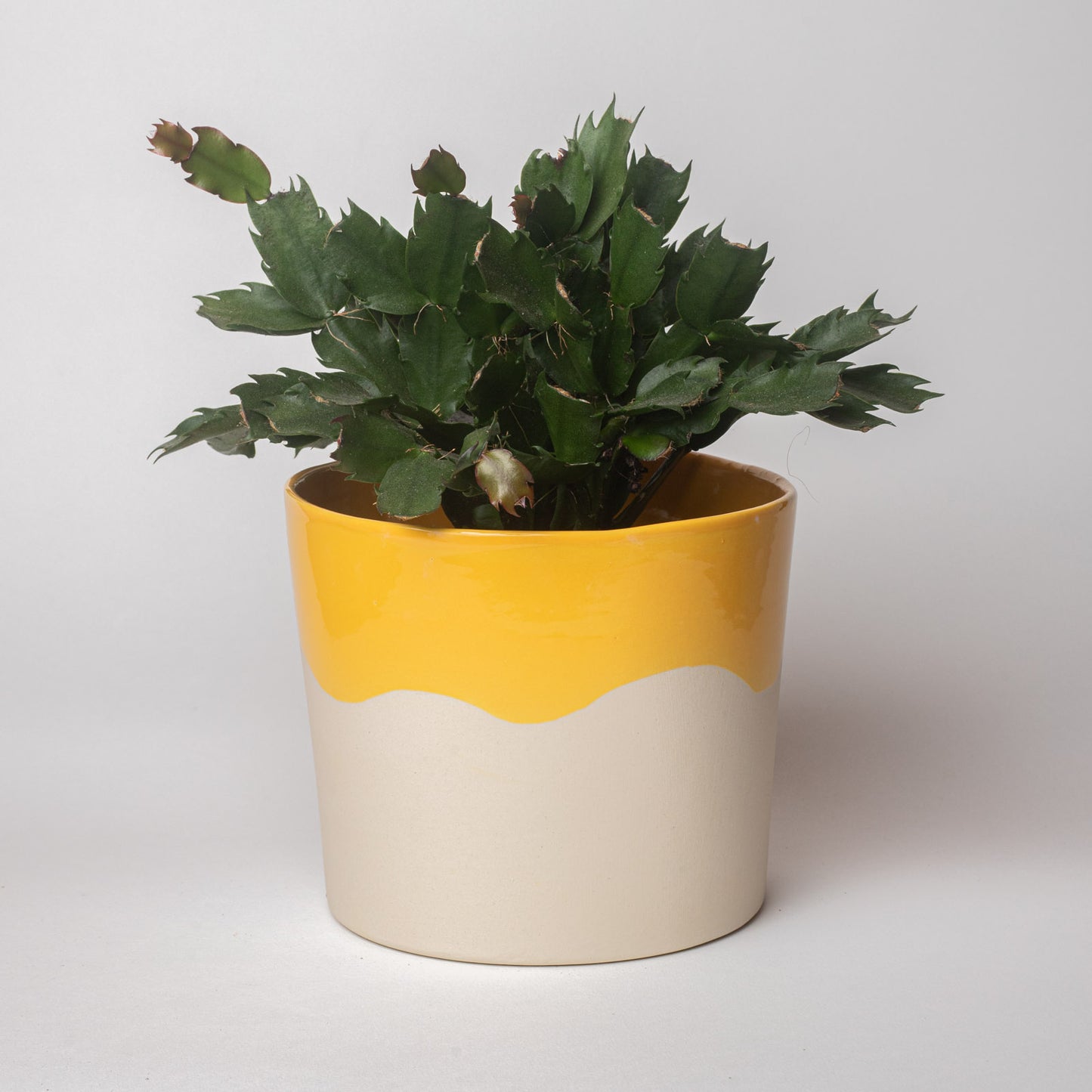 Cache-pot