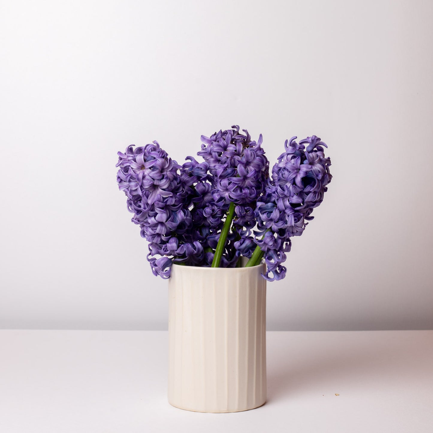 Petit Vase Meringue