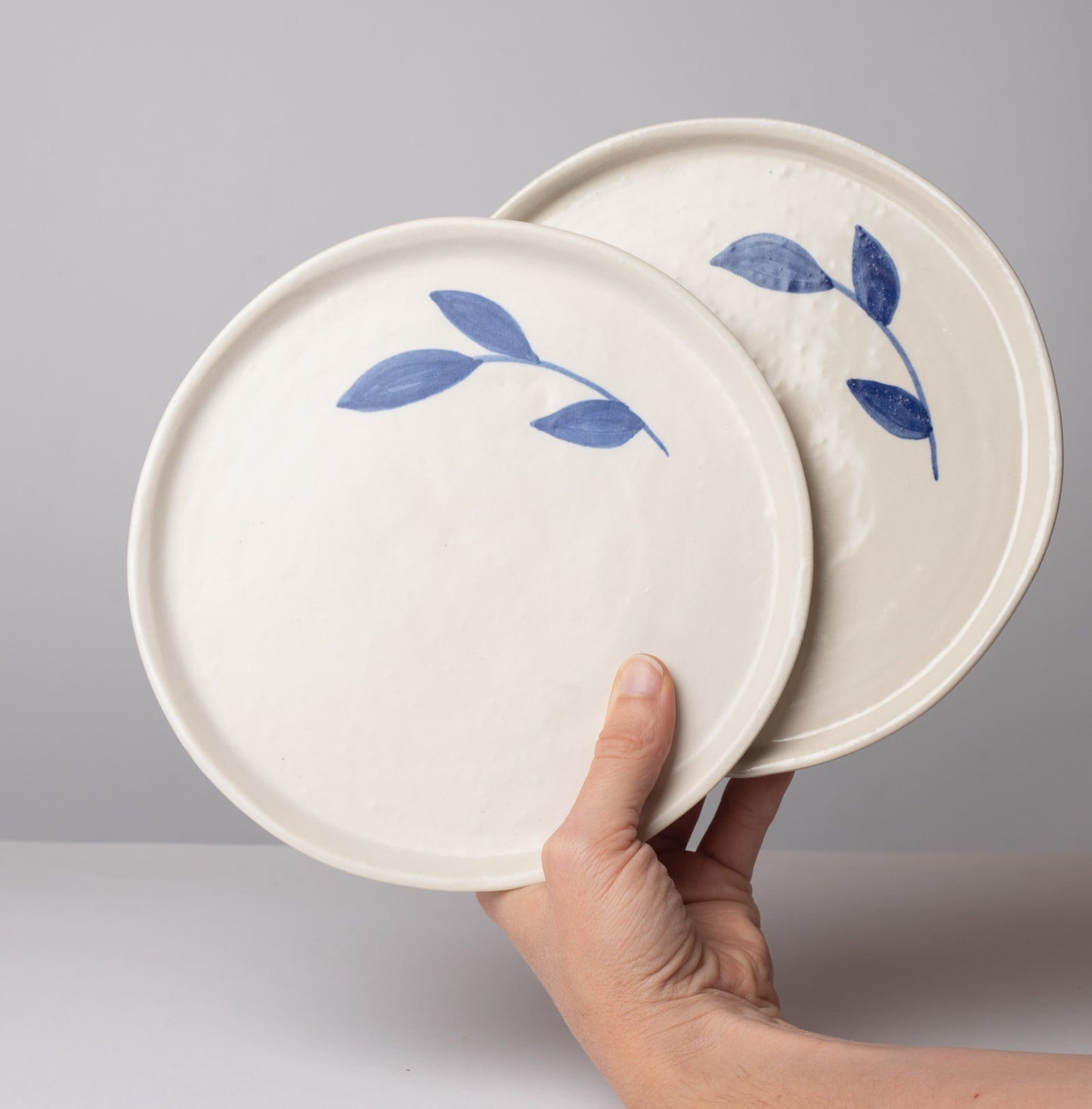 Duo assiettes feuilles